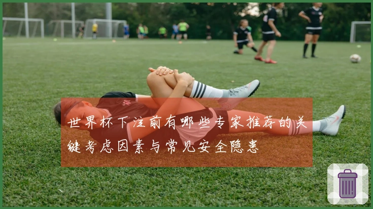 世界杯下注前有哪些专家推荐的关键考虑因素与常见安全隐患