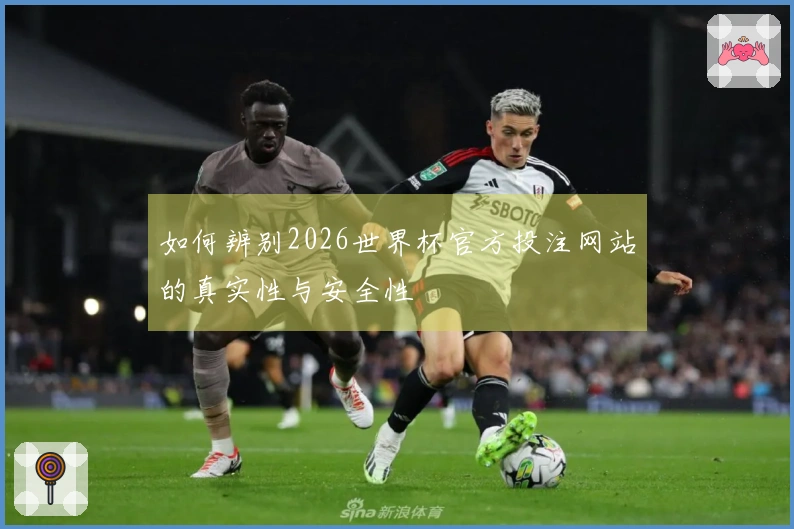 如何辨别2026世界杯官方投注网站的真实性与安全性