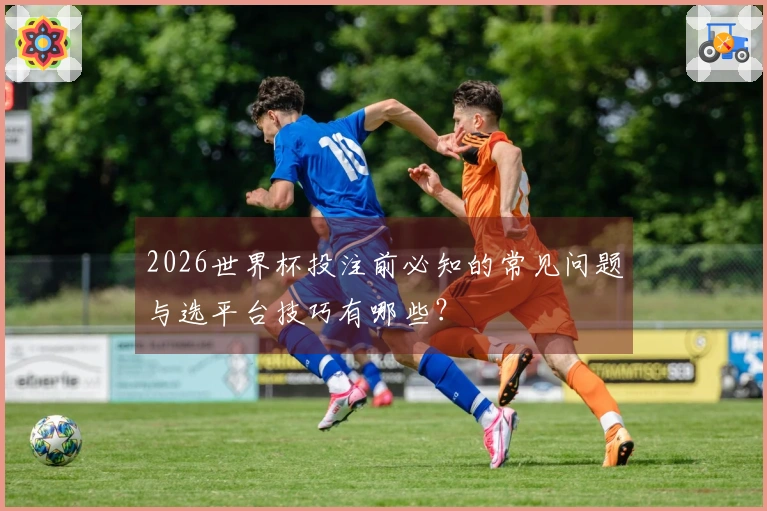 2026世界杯投注前必知的常见问题与选平台技巧有哪些？