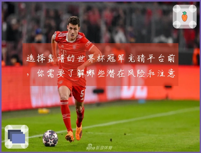 选择靠谱的世界杯冠军竞猜平台前，你需要了解哪些潜在风险和注意事项