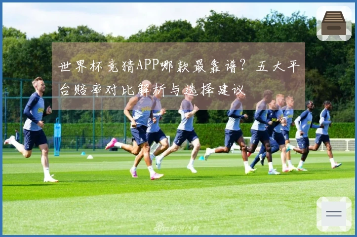 世界杯竞猜APP哪款最靠谱？五大平台赔率对比解析与选择建议