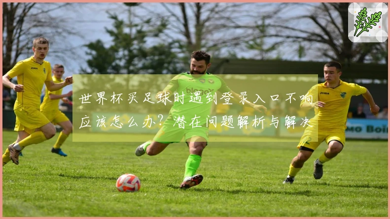 世界杯买足球时遇到登录入口不响应该怎么办？潜在问题解析与解决方案