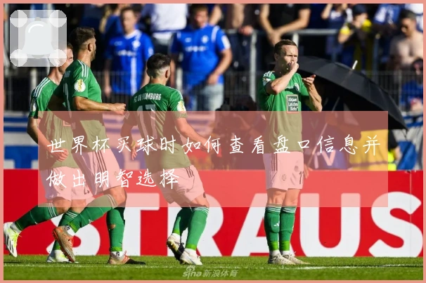 世界杯买球时如何查看盘口信息并做出明智选择